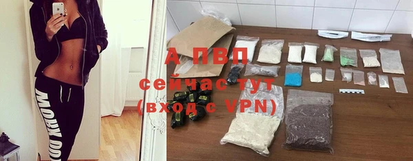 Альфа ПВП Лагань