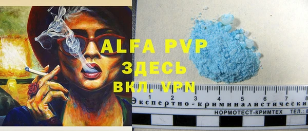 ECSTASY Лабытнанги