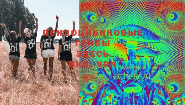 Альфа ПВП Лагань