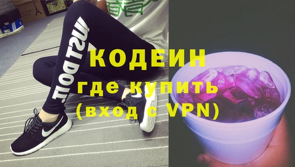 Альфа ПВП Лагань