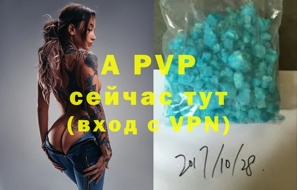 ECSTASY Лабытнанги